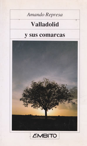 Seller image for Valladolid y sus comarcas for sale by Librera Cajn Desastre