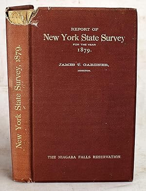 Image du vendeur pour Special Report of New York State on the Preservation of the Scenery of Niagara Falls: And the Fourth Annual Report on the Triangulation of the State; for the Year 1879 mis en vente par Sequitur Books