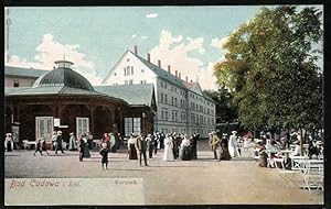 Ansichtskarte Bad Cudowa, Kurpark mit Gebäuden und Kurgästen