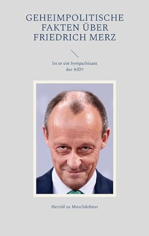 Bild des Verkufers fr Geheimpolitische Fakten ber Friedrich Merz : Ist er ein Sympathisant der AfD? zum Verkauf von AHA-BUCH GmbH