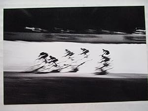 Seller image for Dynamism of Cycling (6 bikes): Interzone/Graphic artist postcard for sale by ANARTIST