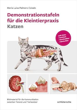 Imagen del vendedor de Demonstrationstafeln fr die Kleintierpraxis Katzen a la venta por Rheinberg-Buch Andreas Meier eK