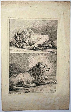 Two lions