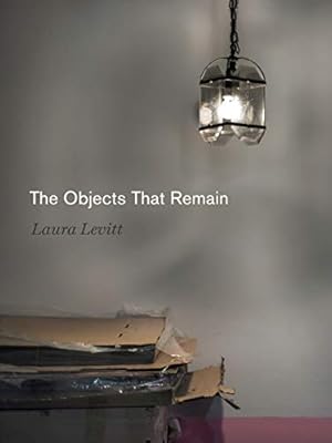 Seller image for The Objects That Remain (Dimyonot: Jews and the Cultural Imagination) for sale by Books for Life