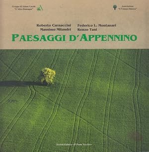 Immagine del venditore per Paesaggi d'Appennino venduto da Arca dei libri di Lorenzo Casi