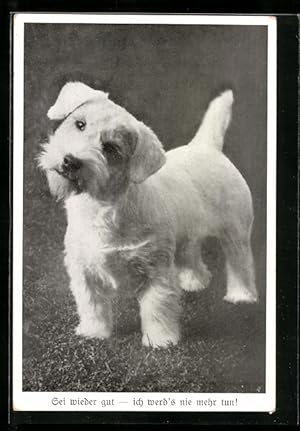 Bild des Verkufers fr Ansichtskarte Kleiner Hund mit geneigtem Kopf zum Verkauf von Bartko-Reher