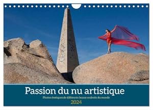 Seller image for Passion du nu artistique (Calendrier mural 2024 DIN A4 vertical), CALVENDO calendrier mensuel for sale by BuchWeltWeit Ludwig Meier e.K.