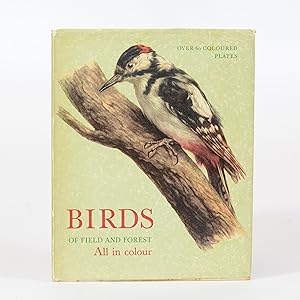 Birds of Field and Forest