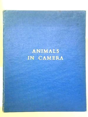 Seller image for Animal in Camera for sale by World of Rare Books