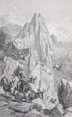 Seller image for THE ASCENT OF THE MATTERHORN for sale by Buddenbrooks, Inc.