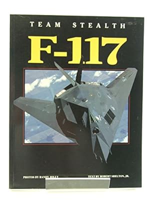 Seller image for Team Stealth F117 for sale by WeBuyBooks