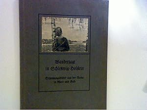 Seller image for Durch Felder, Wlder und Auen. Stimmungsbilder aus der Natur in Wort und Bild: Wandertage in Schleswig-Holstein for sale by ANTIQUARIAT FRDEBUCH Inh.Michael Simon