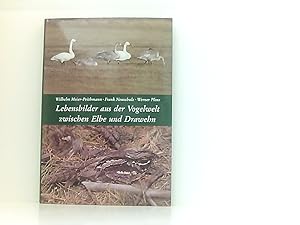 Image du vendeur pour Lebensbilder aus der Vogelwelt zwischen Elbe und Drawehn Wilhelm Meier-Peithmann ; Frank Neuschulz ; Werner Plinz. Avifaunist. Arbeitsgemeinschaft fr Lchow u. Dannenberg mis en vente par Book Broker