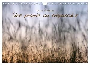 Seller image for Une prairie au crpuscule (Calendrier mural 2024 DIN A4 vertical), CALVENDO calendrier mensuel : Beaut des gramines for sale by AHA-BUCH GmbH