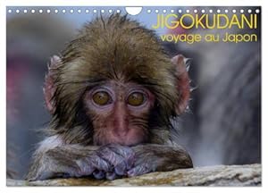 Seller image for JIGOKUDANI voyage au Japon (Calendrier mural 2024 DIN A4 vertical), CALVENDO calendrier mensuel : Un voyage  travers de magnifiques portraits de macaques japonais for sale by AHA-BUCH GmbH