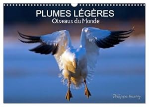 Seller image for PLUMES LGRES. Oiseaux du Monde (Calendrier mural 2024 DIN A3 vertical), CALVENDO calendrier mensuel : Treize photos d'oiseaux en action, photographis avec l'oeil d'artiste de philippe Henry for sale by AHA-BUCH GmbH