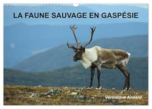 Image du vendeur pour LA FAUNE SAUVAGE EN GASPSIE (Calendrier mural 2024 DIN A3 vertical), CALVENDO calendrier mensuel : Bienvenue dans le monde des animaux sauvages peuplant un pays de rve ! mis en vente par AHA-BUCH GmbH