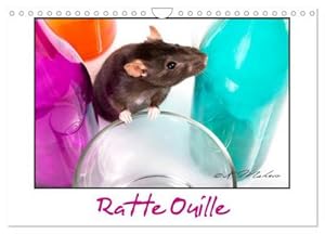 Seller image for Ratte Ouille (Calendrier mural 2024 DIN A4 vertical), CALVENDO calendrier mensuel for sale by BuchWeltWeit Ludwig Meier e.K.