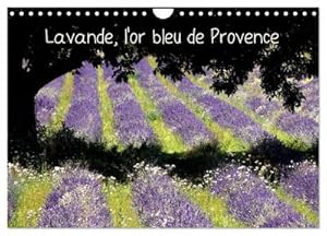 Seller image for Lavande, l'or bleu de Provence (Calendrier mural 2024 DIN A4 vertical), CALVENDO calendrier mensuel for sale by BuchWeltWeit Ludwig Meier e.K.