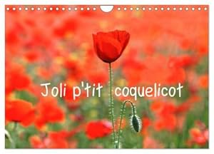 Seller image for Joli p'tit coquelicot (Calendrier mural 2024 DIN A4 vertical), CALVENDO calendrier mensuel for sale by BuchWeltWeit Ludwig Meier e.K.