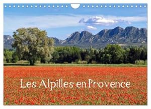 Seller image for Les Alpilles en Provence (Calendrier mural 2024 DIN A4 vertical), CALVENDO calendrier mensuel for sale by BuchWeltWeit Ludwig Meier e.K.