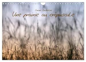 Seller image for Une prairie au crpuscule (Calendrier mural 2024 DIN A4 vertical), CALVENDO calendrier mensuel for sale by BuchWeltWeit Ludwig Meier e.K.
