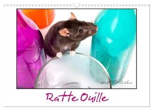 Seller image for Ratte Ouille (Calendrier mural 2024 DIN A3 vertical), CALVENDO calendrier mensuel for sale by BuchWeltWeit Ludwig Meier e.K.