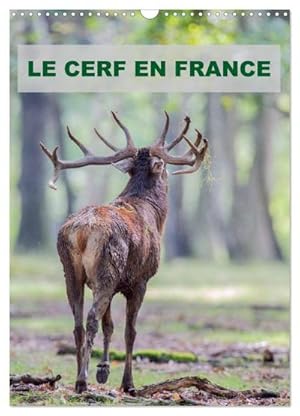 Image du vendeur pour LE CERF EN FRANCE (Calendrier mural 2024 DIN A3 horizontal), CALVENDO calendrier mensuel mis en vente par BuchWeltWeit Ludwig Meier e.K.