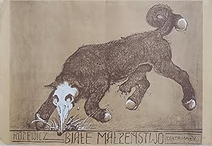 1978 Original Polish Theater Poster, Biale Malzenstwo (Rozewicz) Medium Version