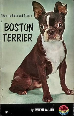 How To Raise and Train A Boston Terrier