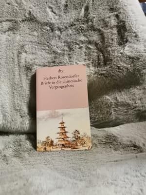 Briefe in die chinesische Vergangenheit : Roman. dtv ; 10541