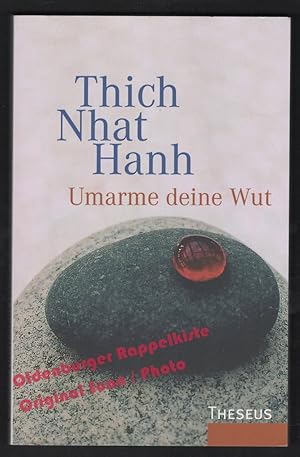 Umarme deine Wut: Sutra der Vier Verankerungen der Achtsamkeit - Hanh, Thich Nhat