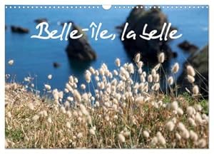 Seller image for Belle-le, la belle (Calendrier mural 2024 DIN A3 vertical), CALVENDO calendrier mensuel : Belle-le-en-Mer, une le nature, naturelle, prserve. Des petites criques, des plages, des rochers, de la flore, un enchantement. for sale by AHA-BUCH GmbH