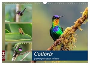 Seller image for Colibris - pierres prcieuses volantes (Calendrier mural 2024 DIN A3 vertical), CALVENDO calendrier mensuel : Les colibris du Costa Rica et de l'quateur tournoient comme des bijoux brillants  travers la fort de nuages. for sale by AHA-BUCH GmbH