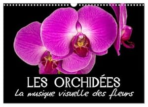 Seller image for Les Orchides - La musique visuelle des fleurs (Calendrier mural 2024 DIN A3 vertical), CALVENDO calendrier mensuel : Egayez votre quotidien ! for sale by AHA-BUCH GmbH