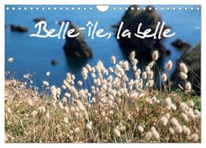 Seller image for Belle-le, la belle (Calendrier mural 2024 DIN A4 vertical), CALVENDO calendrier mensuel : Belle-le-en-Mer, une le nature, naturelle, prserve. Des petites criques, des plages, des rochers, de la flore, un enchantement. for sale by AHA-BUCH GmbH