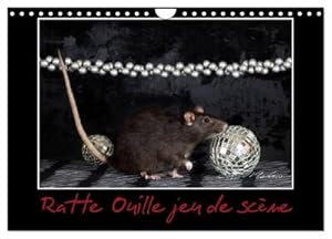 Seller image for Ratte Ouille jeu de scne (Calendrier mural 2024 DIN A4 vertical), CALVENDO calendrier mensuel : Petite ratte en spectacle. for sale by AHA-BUCH GmbH