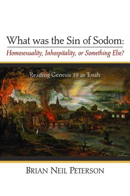 Seller image for What was the Sin of Sodom: Homosexuality, Inhospitality, or Something Else? (Hardback or Cased Book) for sale by BargainBookStores