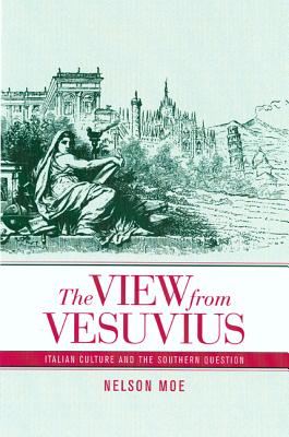 Immagine del venditore per The View from Vesuvius: Italian Culture and the Southern Question Volume 46 (Paperback or Softback) venduto da BargainBookStores