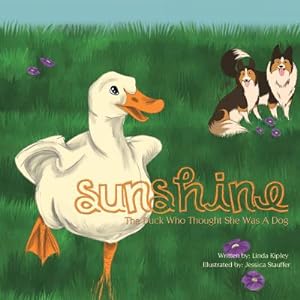 Immagine del venditore per Sunshine (Paperback or Softback) venduto da BargainBookStores