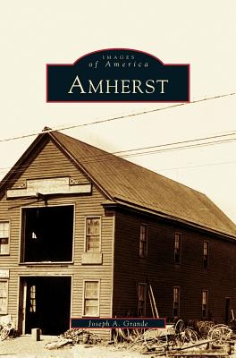 Seller image for Amherst (Hardback or Cased Book) for sale by BargainBookStores