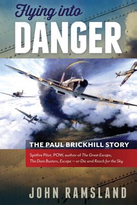 Seller image for Flying Into Danger (Paperback or Softback) for sale by BargainBookStores