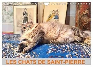 Seller image for LES CHATS DE SAINT-PIERRE (Calendrier mural 2024 DIN A4 vertical), CALVENDO calendrier mensuel for sale by BuchWeltWeit Ludwig Meier e.K.