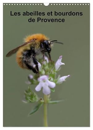 Seller image for Les abeilles et bourdons de Provence (Calendrier mural 2024 DIN A3 horizontal), CALVENDO calendrier mensuel for sale by BuchWeltWeit Ludwig Meier e.K.