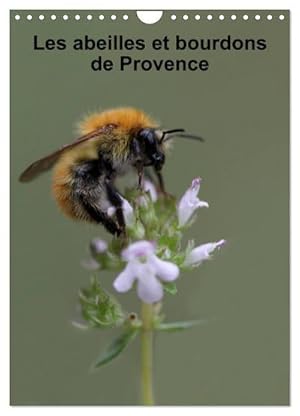 Seller image for Les abeilles et bourdons de Provence (Calendrier mural 2024 DIN A4 horizontal), CALVENDO calendrier mensuel for sale by BuchWeltWeit Ludwig Meier e.K.