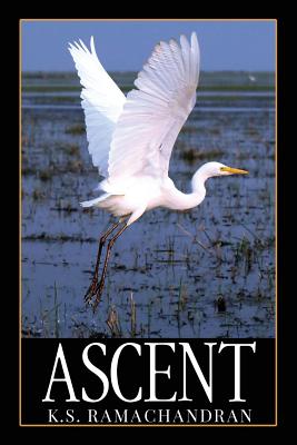 Seller image for Ascent (Paperback or Softback) for sale by BargainBookStores