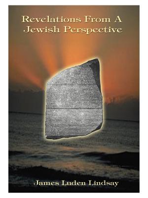 Seller image for Revelations from a Jewish Perspective (Paperback or Softback) for sale by BargainBookStores