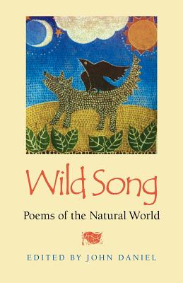 Seller image for Wild Song (Paperback or Softback) for sale by BargainBookStores