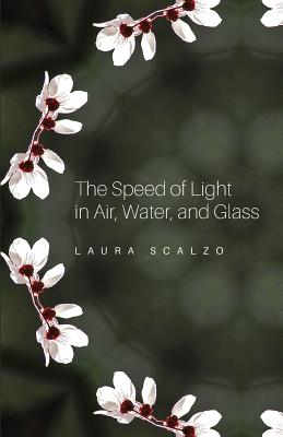 Immagine del venditore per The Speed of Light in Air, Water, and Glass (Paperback or Softback) venduto da BargainBookStores