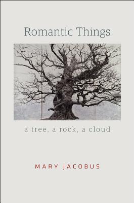 Immagine del venditore per Romantic Things: A Tree, a Rock, a Cloud (Paperback or Softback) venduto da BargainBookStores